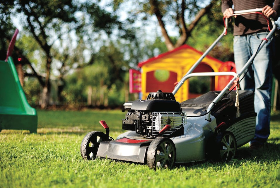 Газонокосилка промышленная - особенности и выбор под задачу