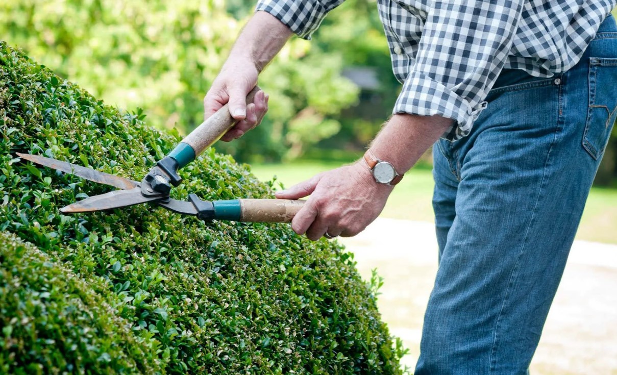 Машина для обрезки деревьев - безопасная и быстрая обрезка зелёных насаждений